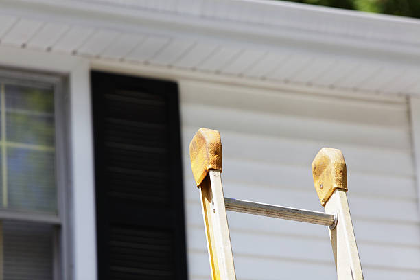 Best Historical Building Siding Restoration  in Sour Lake, TX